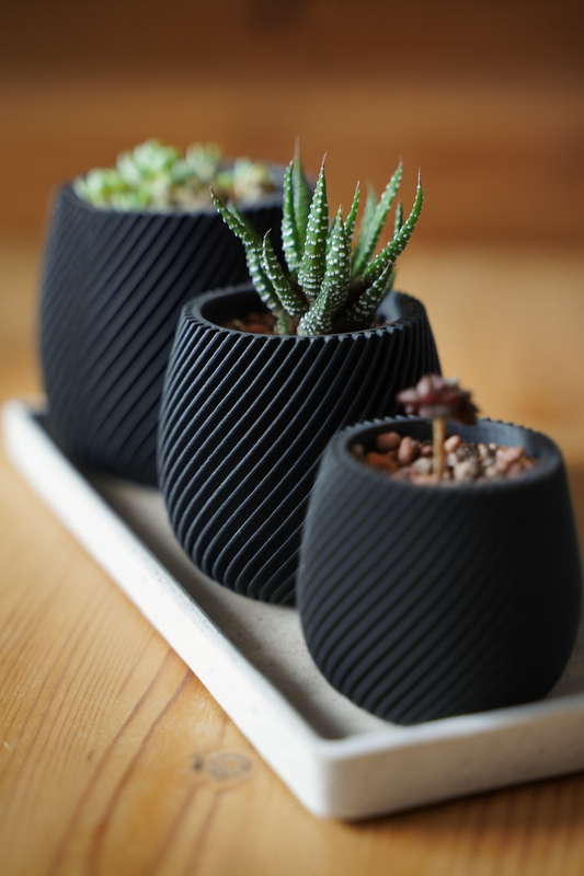Spiral vase - Sculpted in Style